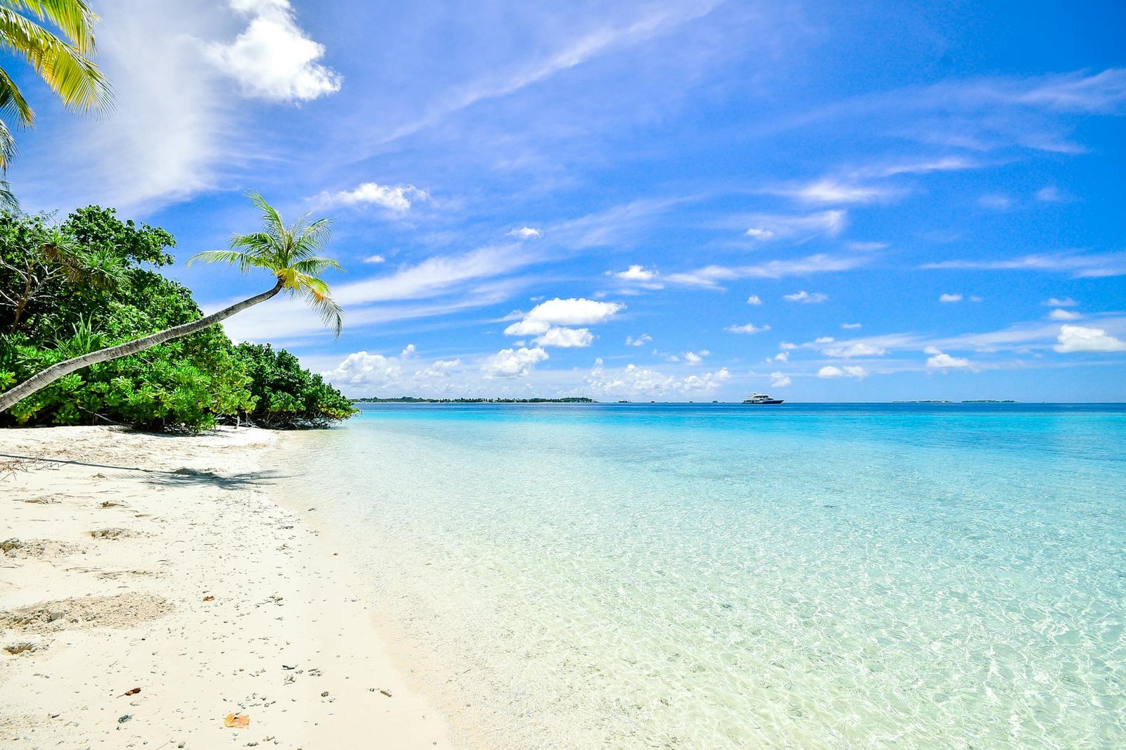 O que significa sonhar com praia? Veja aqui!